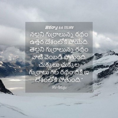 Picture 04 - జెకర్యా 6:6 TELIRV - నల్లని - Bible Verse Picture