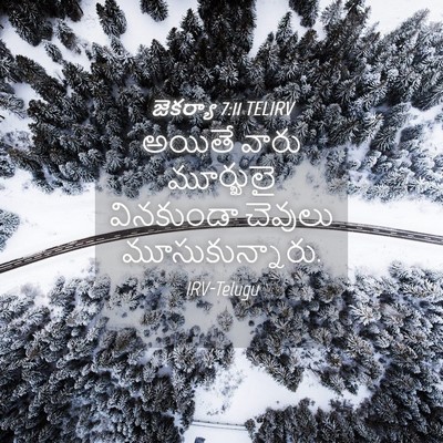 Picture 04 - జెకర్యా 7:11 TELIRV - అయితే వారు - Bible Verse Picture