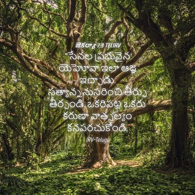 Picture 04 - జెకర్యా 7:9 TELIRV - “సేనల ప్రభువైన - Bible Verse Picture