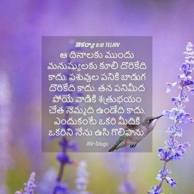 Picture 04 - జెకర్యా 8:10 TELIRV - ఆ దినాలకు ముందు - Bible Verse Picture