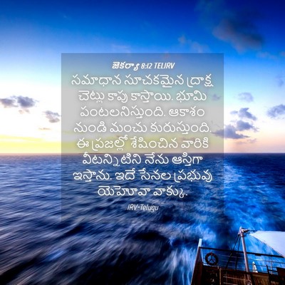 Picture 04 - జెకర్యా 8:12 TELIRV - సమాధాన సూచకమైన - Bible Verse Picture