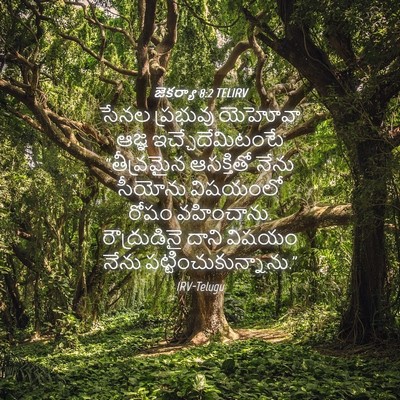 Picture 04 - జెకర్యా 8:2 TELIRV - సేనల ప్రభువు - Bible Verse Picture