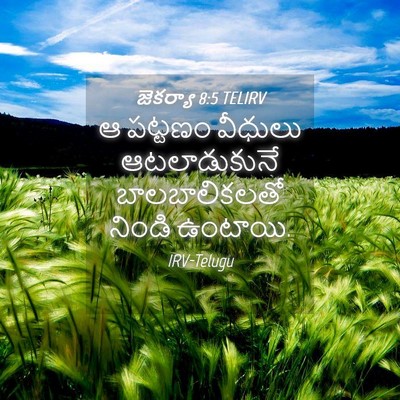 Picture 04 - జెకర్యా 8:5 TELIRV - ఆ పట్టణం వీధులు - Bible Verse Picture
