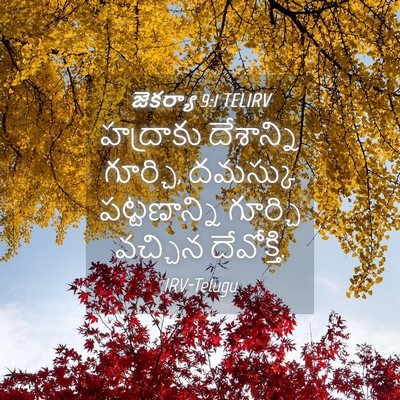 Picture 04 - జెకర్యా 9:1 TELIRV - హద్రాకు దేశాన్ని - Bible Verse Picture