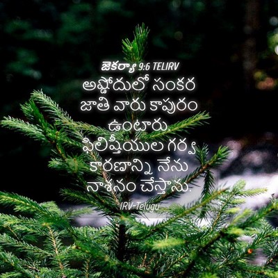 Picture 04 - జెకర్యా 9:6 TELIRV - అష్డోదులో సంకర - Bible Verse Picture