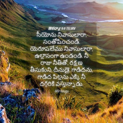Picture 04 - జెకర్యా 9:9 TELIRV - సీయోను - Bible Verse Picture