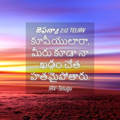 Picture 04 - జెఫన్యా 2:12 TELIRV - కూషీయులారా, మీరు - Bible Verse Picture