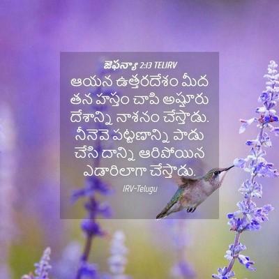 Picture 04 - జెఫన్యా 2:13 TELIRV - ఆయన ఉత్తరదేశం మీద - Bible Verse Picture