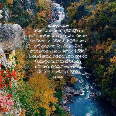 Picture 04 - జెఫన్యా 2:14 TELIRV - దానిలో మందలు - Bible Verse Picture