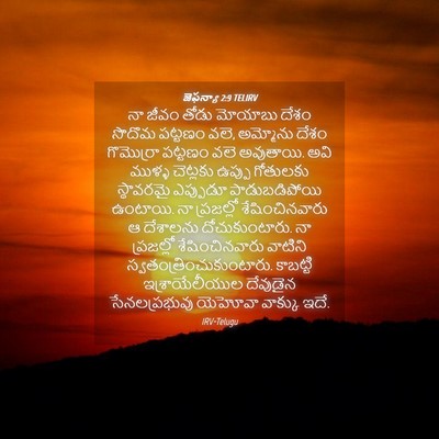 Picture 04 - జెఫన్యా 2:9 TELIRV - నా జీవం తోడు - Bible Verse Picture