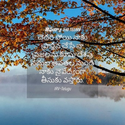 Picture 04 - జెఫన్యా 3:10 TELIRV - చెదరి పోయి నాకు - Bible Verse Picture