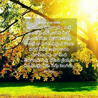 Picture 04 - జెఫన్యా 3:11 TELIRV - ఆ దినాన నీ - Bible Verse Picture