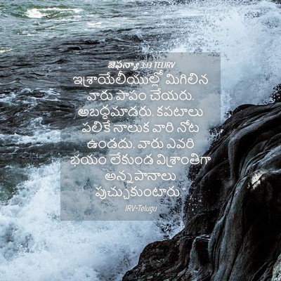 Picture 04 - జెఫన్యా 3:13 TELIRV - ఇశ్రాయేలీయుల్లో - Bible Verse Picture
