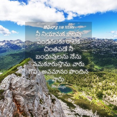 Picture 04 - జెఫన్యా 3:18 TELIRV - నీ నియామక కాలపు - Bible Verse Picture