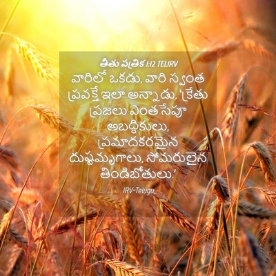 Picture 04 - తీతు పత్రిక 1:12 TELIRV - వారిలో ఒకడు, వారి - Bible Verse Picture