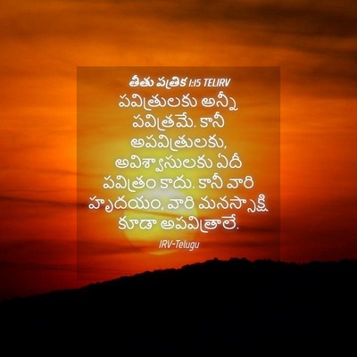 Picture 04 - తీతు పత్రిక 1:15 TELIRV - పవిత్రులకు అన్నీ - Bible Verse Picture