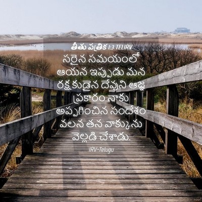 Picture 04 - తీతు పత్రిక 1:3 TELIRV - సరైన సమయంలో ఆయన - Bible Verse Picture