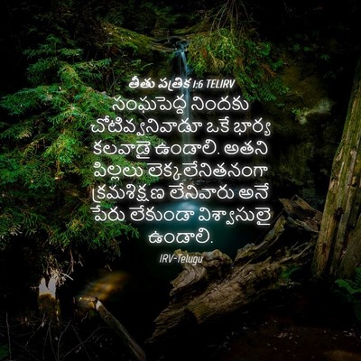 Picture 04 - తీతు పత్రిక 1:6 TELIRV - సంఘపెద్ద నిందకు - Bible Verse Picture