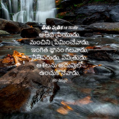 Picture 04 - తీతు పత్రిక 1:8 TELIRV - అతిథి ప్రియుడు, - Bible Verse Picture
