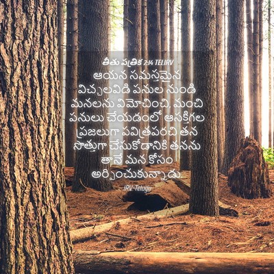 Picture 04 - తీతు పత్రిక 2:14 TELIRV - ఆయన సమస్తమైన - Bible Verse Picture