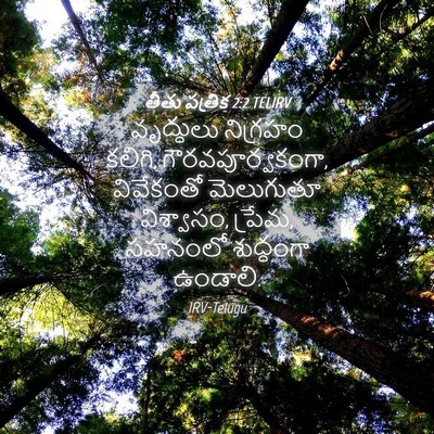 Picture 04 - తీతు పత్రిక 2:2 TELIRV - వృద్ధులు నిగ్రహం - Bible Verse Picture