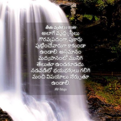 Picture 04 - తీతు పత్రిక 2:3 TELIRV - అలాగే వృద్ధ - Bible Verse Picture