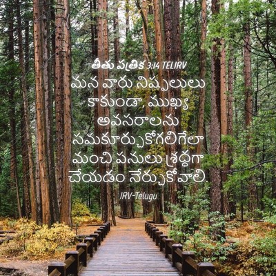 Picture 04 - తీతు పత్రిక 3:14 TELIRV - మన వారు నిష్ఫలులు - Bible Verse Picture
