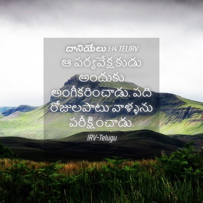 Picture 04 - దానియేలు 1:14 TELIRV - ఆ పర్యవేక్షకుడు - Bible Verse Picture