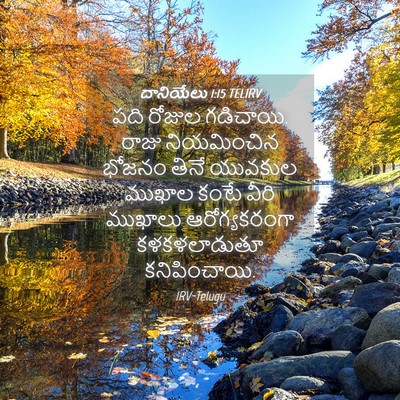 Picture 04 - దానియేలు 1:15 TELIRV - పది రోజుల గడిచాయి. - Bible Verse Picture
