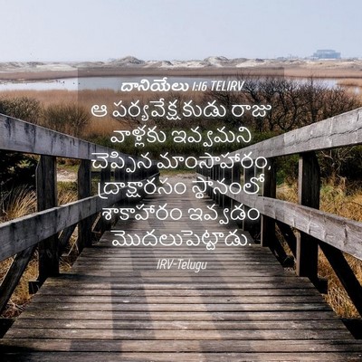 Picture 04 - దానియేలు 1:16 TELIRV - ఆ పర్యవేక్షకుడు - Bible Verse Picture