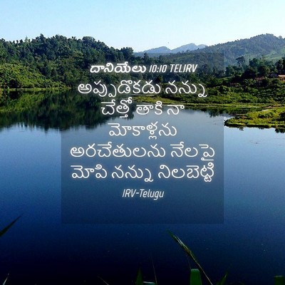 Picture 04 - దానియేలు 10:10 TELIRV - అప్పుడొకడు నన్ను - Bible Verse Picture