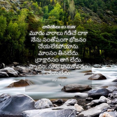 Picture 04 - దానియేలు 10:3 TELIRV - మూడు వారాలు గడిచే - Bible Verse Picture