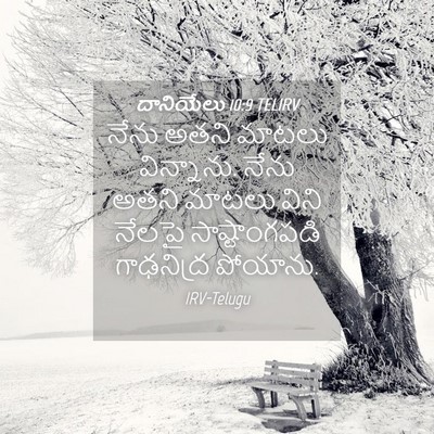 Picture 04 - దానియేలు 10:9 TELIRV - నేను అతని మాటలు - Bible Verse Picture