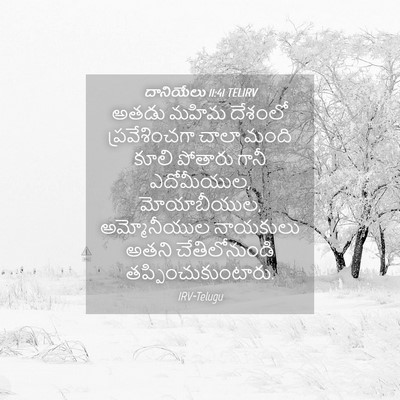 Picture 04 - దానియేలు 11:41 TELIRV - అతడు మహిమ దేశంలో - Bible Verse Picture