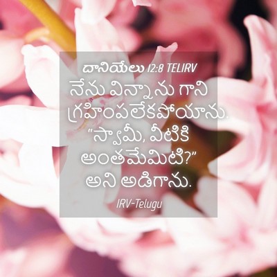 Picture 04 - దానియేలు 12:8 TELIRV - నేను విన్నాను - Bible Verse Picture