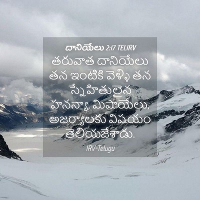 Picture 04 - దానియేలు 2:17 TELIRV - తరువాత దానియేలు - Bible Verse Picture