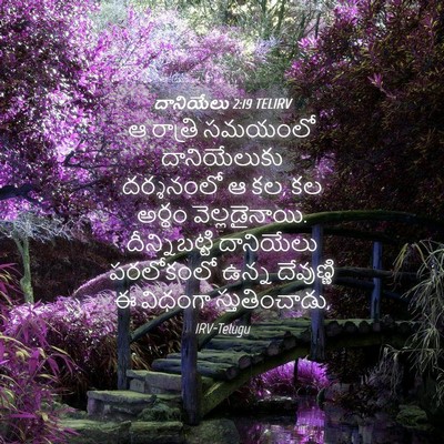 Picture 04 - దానియేలు 2:19 TELIRV - ఆ రాత్రి సమయంలో - Bible Verse Picture