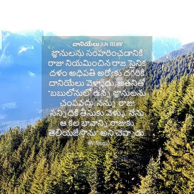 Picture 04 - దానియేలు 2:24 TELIRV - జ్ఞానులను - Bible Verse Picture