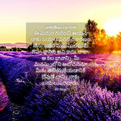 Picture 04 - దానియేలు 2:30 TELIRV - ఈ మర్మం గురించి - Bible Verse Picture