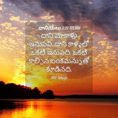 Picture 04 - దానియేలు 2:33 TELIRV - దాని మోకాళ్లు - Bible Verse Picture