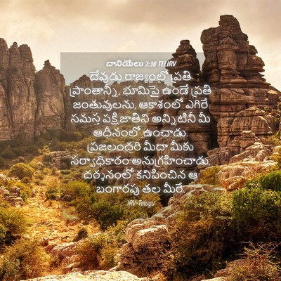 Picture 04 - దానియేలు 2:38 TELIRV - దేవుడు రాజ్యంలో - Bible Verse Picture