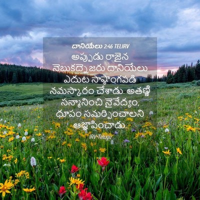Picture 04 - దానియేలు 2:46 TELIRV - అప్పుడు రాజైన - Bible Verse Picture