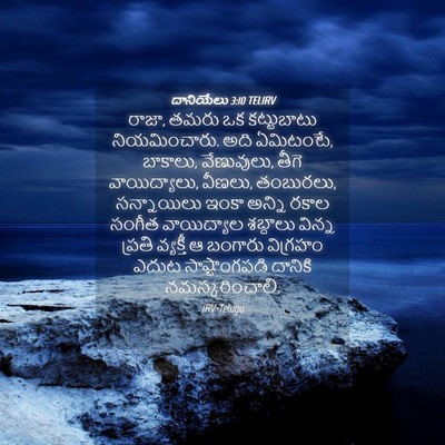Picture 04 - దానియేలు 3:10 TELIRV - రాజా, తమరు ఒక - Bible Verse Picture