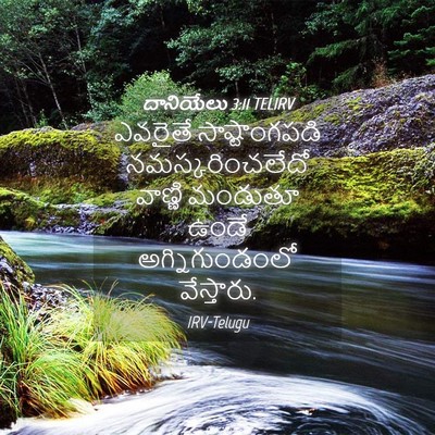 Picture 04 - దానియేలు 3:11 TELIRV - ఎవరైతే - Bible Verse Picture