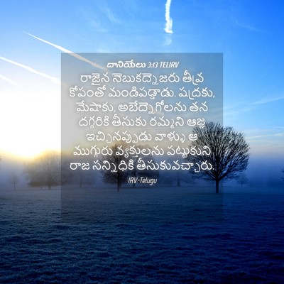 Picture 04 - దానియేలు 3:13 TELIRV - రాజైన - Bible Verse Picture
