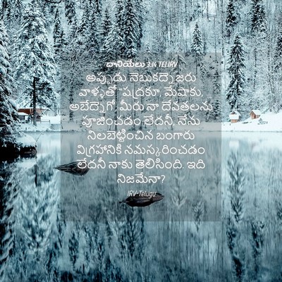 Picture 04 - దానియేలు 3:14 TELIRV - అప్పుడు - Bible Verse Picture