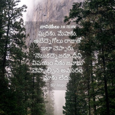 Picture 04 - దానియేలు 3:16 TELIRV - షద్రకు, మేషాకు, - Bible Verse Picture