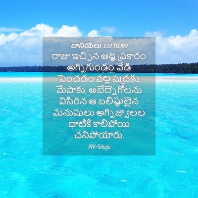 Picture 04 - దానియేలు 3:22 TELIRV - రాజు ఇచ్చిన ఆజ్ఞ - Bible Verse Picture