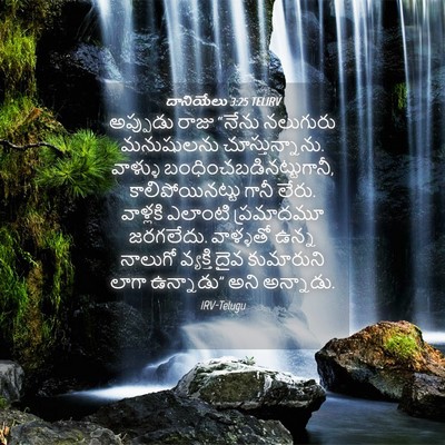 Picture 04 - దానియేలు 3:25 TELIRV - అప్పుడు రాజు - Bible Verse Picture