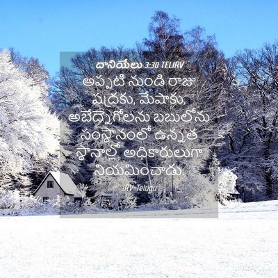 Picture 04 - దానియేలు 3:30 TELIRV - అప్పటి నుండి రాజు - Bible Verse Picture